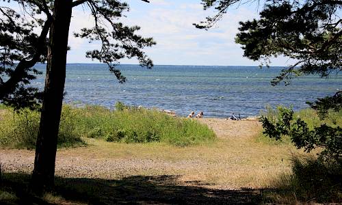 Foto: Stefan Svenaeus