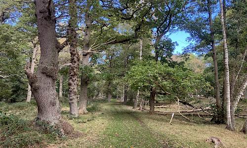 Foto: Stefan Svenaeus 2024