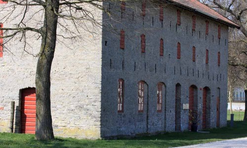 Foto: Stefan Svenaeus