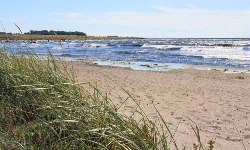 Foto: Stefan Svenaeus