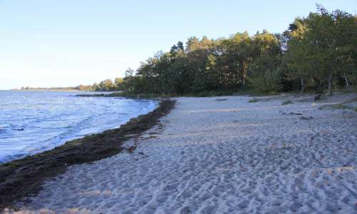 Foto: Stefan Svenaeus