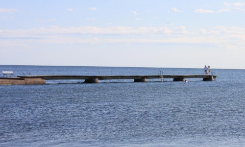 Foto: Stefan Svenaeus 2013