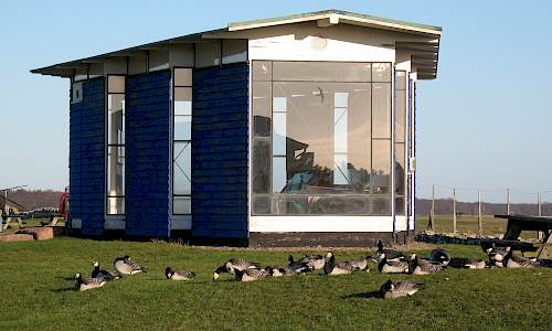 Foto: Stefan Svenaeus 2006