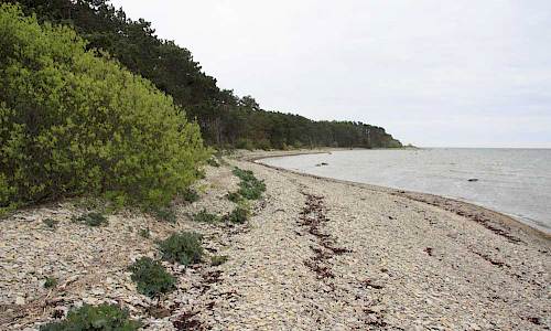 Foto: Stefan Svenaeus