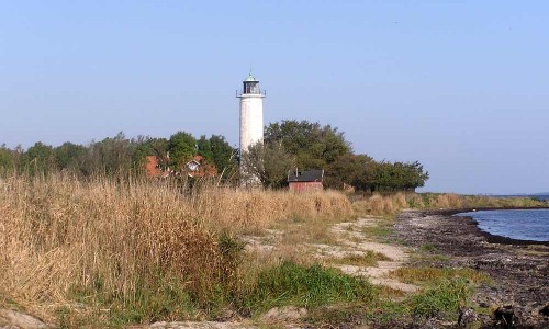 Foto: Stefan Svenaeus