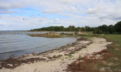 Foto: Stefan Svenaeus