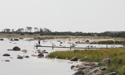 Foto: Stefan Svenaeus