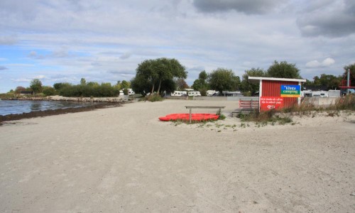 Foto: Stefan Svenaeus