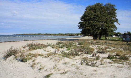 Foto: Stefan Svenaeus