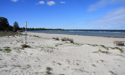 Foto: Stefan Svenaeus