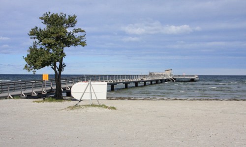 Foto: Stefan Svenaeus