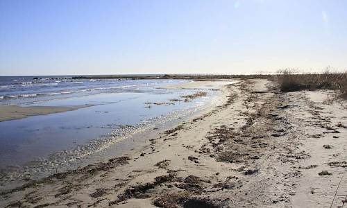 Foto: Stefan Svenaeus