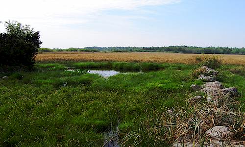 Fotograf: Anita Heimdahl