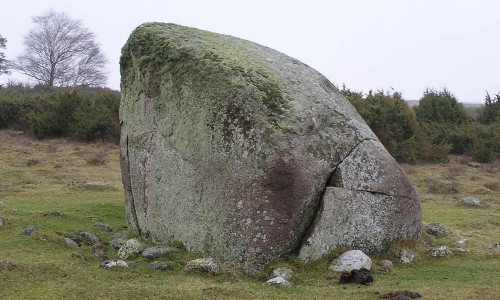 Foto: Stefan Svenaeus