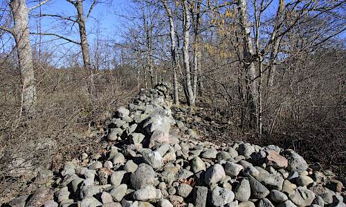 Foto: Stefan Svenaeus 2015