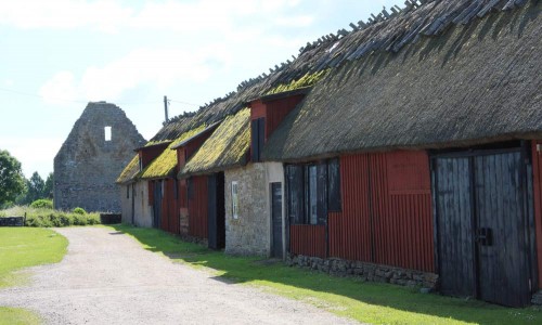 Foto: Stefan Svenaeus