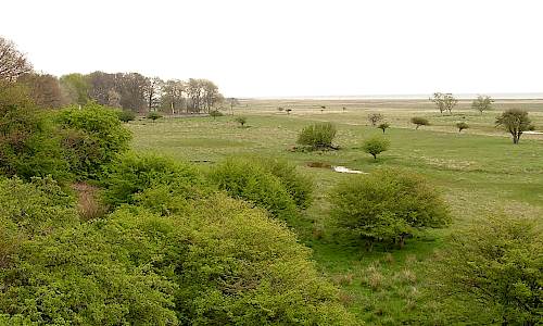 Foto: Stefan Svenaeus