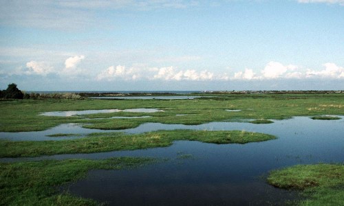 Foto:Stefan Svenaeus