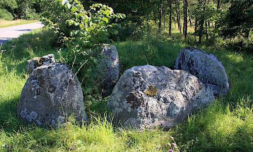Foto: Stefan Svenaeus 2013
