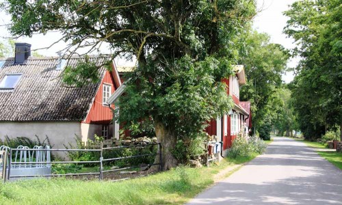 Foto: Stefan Svenaeus