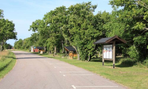 Foto: Stefan Svenaeus