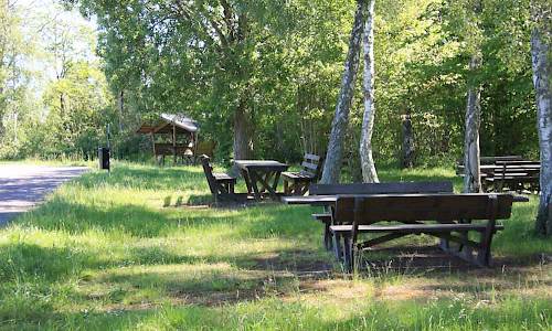 Foto: Stefan Svenaeus