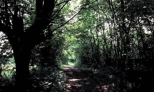 Foto: Stefan Svenaeus