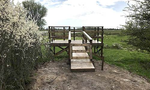 Foto: Stefan Svenaeus
