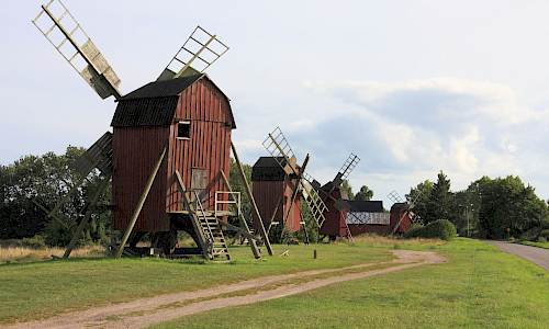Foto: Stefan Svenaeus 2013