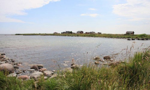 Foto: Stefan Svenaeus