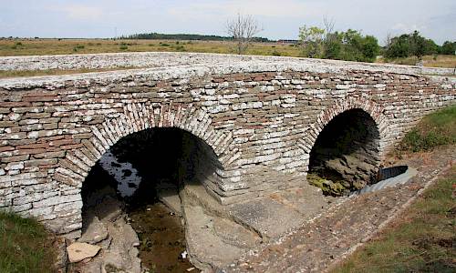 Foto: Stefan Svenaeus 2013