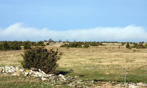 Foto: Stefan Svenaeus 2013
