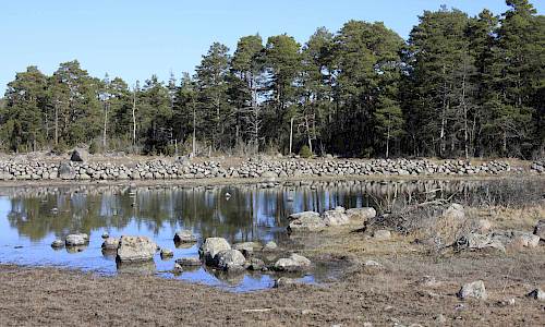 Foto: Stefan Svenaeus 2015