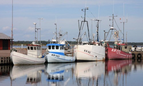 Foto: Stefan Svenaeus
