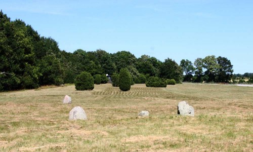 Foto: Stefan Svenaeus