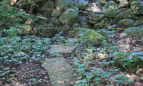 Foto: Stefan Svenaeus