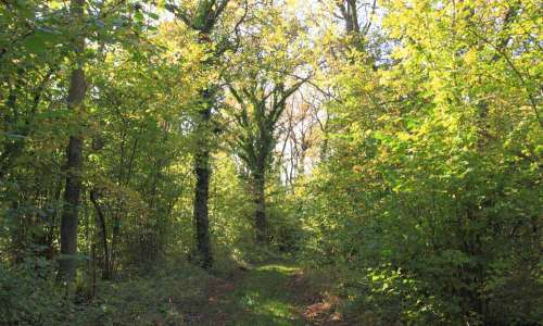 Foto: Stefan Svenaeus