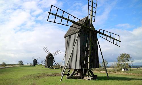 Foto: Stefan Svenaeus 2020
