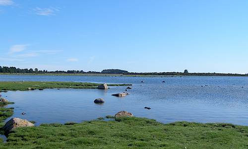 Fotograf: Anita Heimdahl