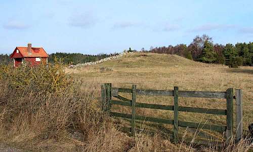 Foto: Stefan Svenaeus