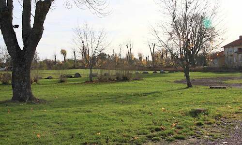 Foto: Stefan Svenaeus