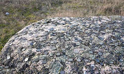 Foto: Stefan Svenaeus
