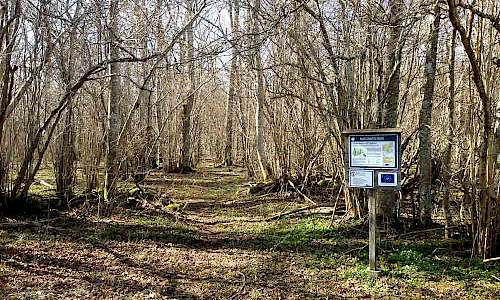 Foto: Stefan Svenaeus