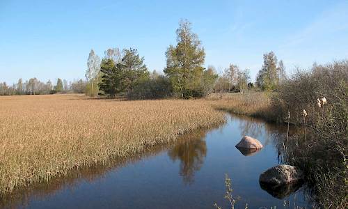 Foto: Stefan Svenaeus