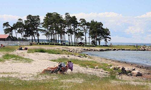 Foto: Stefan Svenaeus