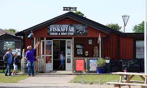 Foto: Stefan Svenaeus 2014