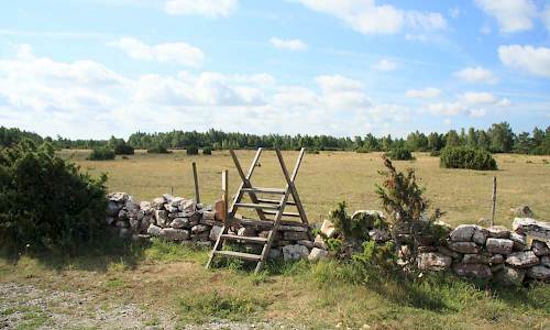 Foto: Stefan Svenaeus