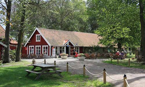 Foto: Stefan Svenaeus