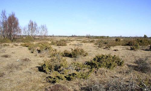 Foto: Stefan Svenaeus