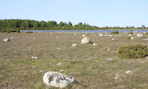Foto: Stefan Svenaeus